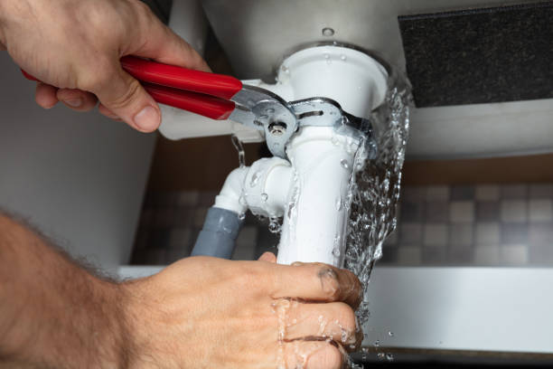 Best Professional water damage repair  in Tunnel Hill, GA
