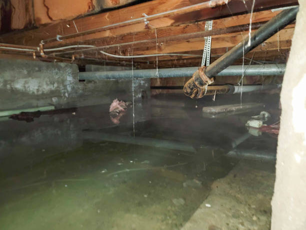 Best 24-hour water damage restoration  in Tunnel Hill, GA