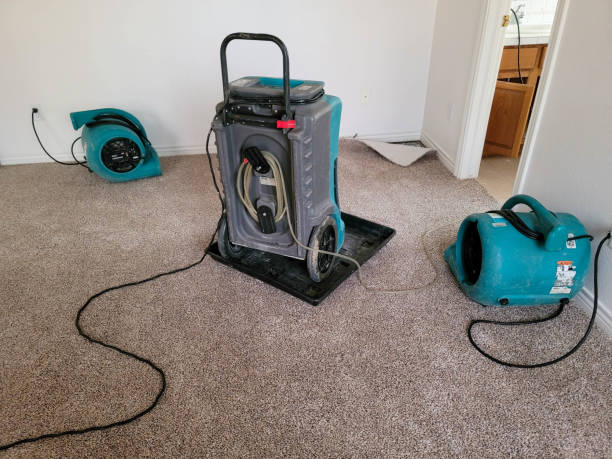 Best Water damage contractors near me  in Tunnel Hill, GA