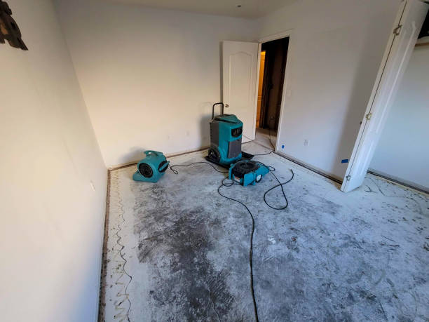 Best Water damage restoration near me  in Tunnel Hill, GA