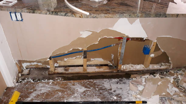  Tunnel Hill, GA Water damage restoration Pros