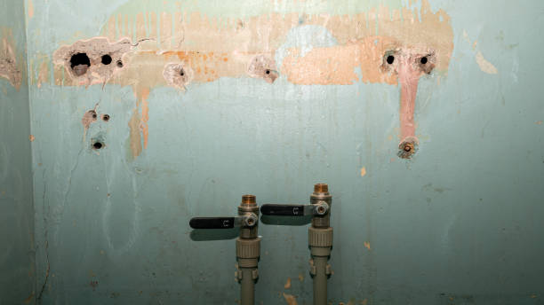 Best Residential water damage restoration  in Tunnel Hill, GA