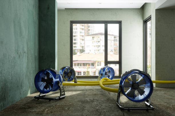 Best Local water damage restoration  in Tunnel Hill, GA