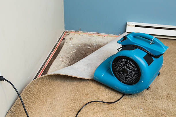 Best Water damage restoration near me  in Tunnel Hill, GA